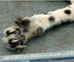 08