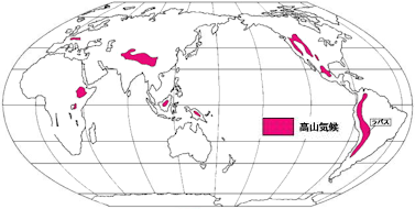 高山気候