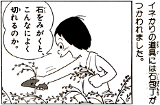 Ε