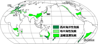 地中海性気候